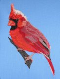 BFC0433 Cardinal-03