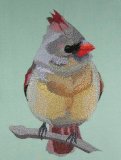 BFC0433 Cardinal-04