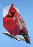 BFC0433 Cardinal-05