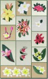 BFC0527 Plumeria
