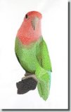 BFC0674 Lovebird No. 2