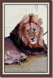 BFC0825 Lion Series-Lion-Resting in the Shade