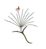 RMG86 Rest Stop for Bees Flower