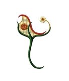 RMG90 Baby Stroller Flower