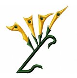 RMG9  Go This Way Flower