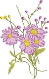 BFC2222 Graceful Florals Library