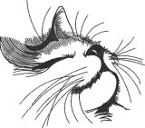 BFC2236 Kitty Sketches