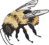 BFC32188 Honey Bee
