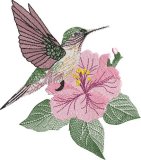 BFC32189 Hummingbird with Hibiscus
