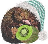 BFC32197 Sleeping with his Kiwi