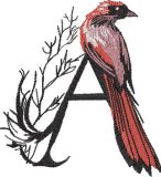 BFC32270 Red Bird Alpha A