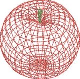 BFC32290 Wireframe Apple