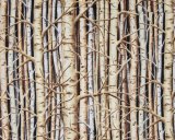 Landscape Pieces - Wood