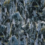 Landscape Pieces -Grasses 1
