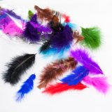 FEATHERS-0023