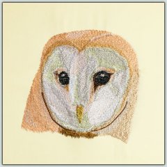 BFC1431 Three Owl Portraits