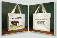 BFC1434 Endangered Species - Sumatran Elephant Thread Kit