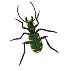 RMG157 Tiger Beetle