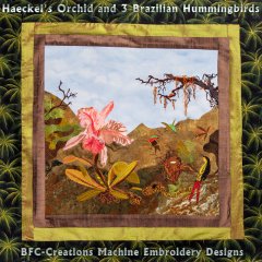BFC1721 Haeckel's Orchids and 3 Brazillian Hummingbirds Thread Kit