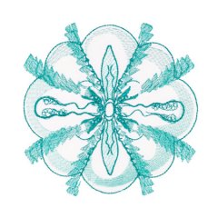 BFC1754 Ernst Haeckel's Ocean Quilt Blocks - 07
