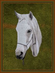 BFC2124 Large Portrait of a White Horse