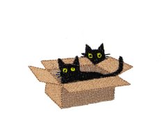 BFC2185 Cats in Hiding
