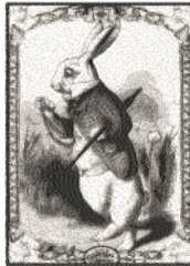 RMG2204  Strolling Rabbit