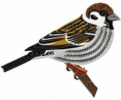 RMG261 Tree Sparrow