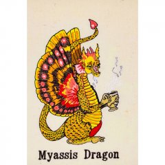 BFC31662 Delight's Myassis Dragon