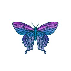 BFC31821 19th Anniversary Butterfly 11