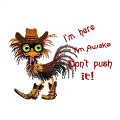 BFC32080 Don't Push it!