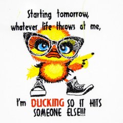 BFC32086 I'm Ducking!