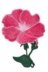 32184 Lace Flower - Petunia