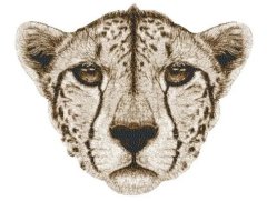 RMG3359 Cheetah