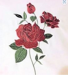 RMG3647 Rose