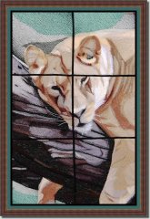BFC0818 Lion Series-Lioness-A Difficult Life