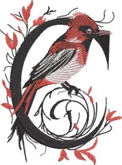 BFC32270 Red Bird Alpha C