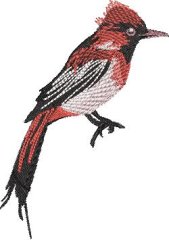 BFC32270 Red Bird Three