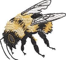 BFC32188 Honey Bee