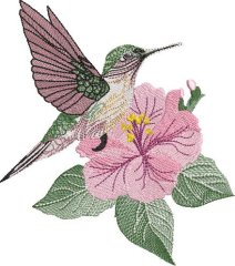 BFC32189 Hummingbird with Hibiscus