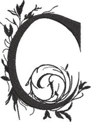 BFC32270 Black Alpha C