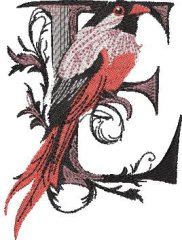 BFC32270 Red Bird Alpha E