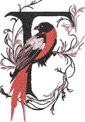 BFC32270 Red Bird Alpha F