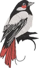 BFC32270 Red Bird  Seven