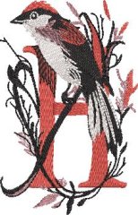 BFC32270 Red Bird Alpha H