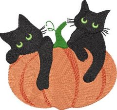 BFC32307 Two black Cats