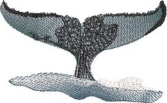 BFC32278 Whale Fluke