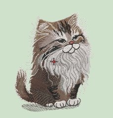 BFC32088 The Curious Cat