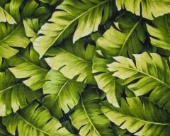 Landscape Pieces - Large Leaves 1