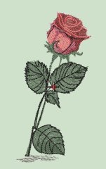 BFC32089 The Rose